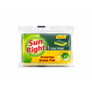 scourer-with-sponge-regular