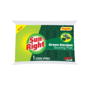Scrub Sponge - Scouring Pad - Regular