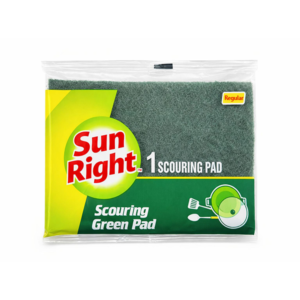 scrub-sponge-scouring-pad-regular