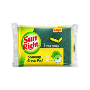 scourer-with-sponge-regular-2